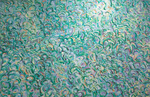 [Untitled Painting 4] by John White