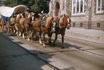 Conestoga Wagon and Horses in Kutztown 4th of July Parade by Richard Hoffman