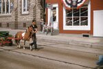 Pony Pulls Wagon in Kutztown 4th of July Parade by Richard Hoffman