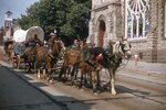 Conestoga Wagon and Horses in Kutztown 4th of July Parade. by Richard Hoffman