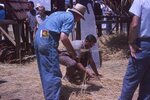 Men Collect Straw on Festival Grounds by Richard Hoffman