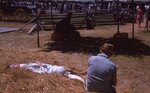 Visitors Rest at Kutztown Folk Festival by Richard Hoffman