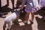 Children Pet Lamb at Kutztown Folk Festival by Richard Hoffman