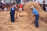 Men Buck Hay by Richard Hoffman