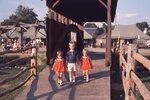 Covered Bridge Display by Richard Hoffman