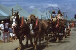 Wagon Ride Through Festival by Richard Hoffman