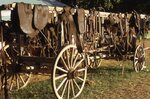 Horse Tack by Richard Hoffman