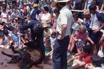 Sheep-Shearing Demonstration by Richard Hoffman