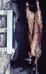 Pig Roast by Richard Hoffman