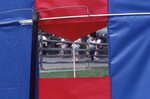 View Through Grounded Kite by Richard Hoffman
