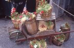 Decorative Plant Display by Richard Hoffman