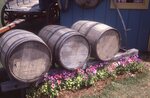 Wooden Barrels by Richard Hoffman