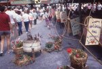 Visitors In Line For Food on Festival Grounds by Richard Hoffman