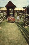 Children Play Near Replica Covered Bridge. by Richard Hoffman