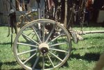 Horse Tack Hangs on Wooden Wagon by Richard Hoffman