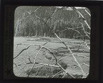 A Beaver Dam, Yellowstone National Park, Wyo. by Keystone View Company