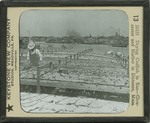 Drying Codfish in Sun- Gloucester and Harbor in Distance, Mass by Kutztown University of Pennsylvania and Keystone View Company