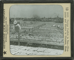 Drying Codfish in Sun-Gloucester and Harbor in Distance, Mass. by Keystone View Company