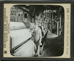 Cotton Gin, Greenville, Texas. by Keystone View Company