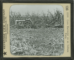 Corn Harvester on an Indiana Farm. by Keystone View Company