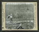 Cut- and Burned-over Timber Land, near Duluth, Minn. by Keystone View Company