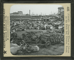 Exporting Wheat at Odessa on the Black Sea, Ukraine, Russia. by Keystone View Company