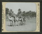 A Caravan Leaving an Oasis in the Desert, Egypt. by Keystone View Company