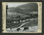 Farms and Fields in the Derwent Valley, Tasmania. by Keystone View Company