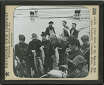 First Haul of the Season, Salmon Industry, Clumbia River, Ore. by Keystone View Company