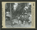 Dwellings Erected for Employees of Old French Canal Company, Panama. by Keystone View Company
