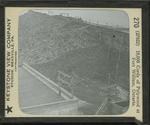 19,000 Cords of Pulpwood at Fort Williams, Ontario. by Keystone View Company