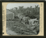 Carts Loaded with Coffee Leaving the Plantation, Brazil. by Keystone View Company