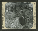 Indian Women and Children Sorting Wool in Market Place, Arequipa, Peru.