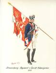 Braunschweig: Regiment v. Specht, Fahnenjunker by Johannes Schwalm Historical Association
