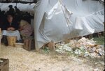 "Folk Festival: Windsor C. Potato Peeling" by Lillian Walters and William Walters