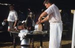"Folk Festival: Maxatawny" by Lillian Walters and William Walters