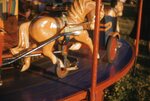 "Folk Festival: Merry-go-round" by Lillian Walters and William Walters