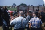 "Folk Festival: Conestoga 'Crew'" by Lillian Walters and William Walters