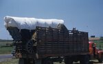 "Folk Festival: Conestoga Wagon" by Lillian Walters and William Walters