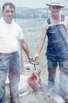 "Folk Festival: Butchers" by Lillian Walters and William Walters