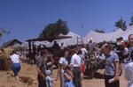 "Folk Festival: Hay-Ride Pulled By Threshing Machine Engine" by Lillian Walters and William Walters